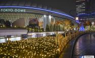 关于东京CITY晋级成功，球风犀利的信息